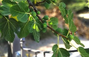 Villa Il Circolo Bassone - Foto 27