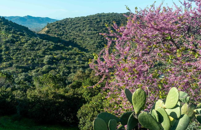 Casa Cedro in Luddui - Photo 29