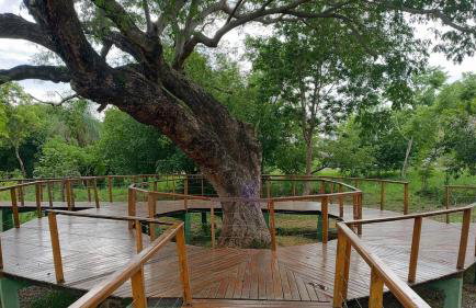 Aconchegante Apartamento de 2 Quartos - Foto 34