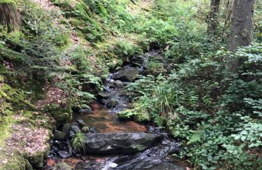 Bonne âme - Ferienwohnung mit Sauna - Foto 19