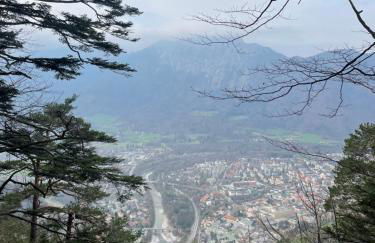 Silberwurz - Foto 16