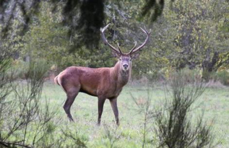 Le hameau de Donnedevie - Foto 13
