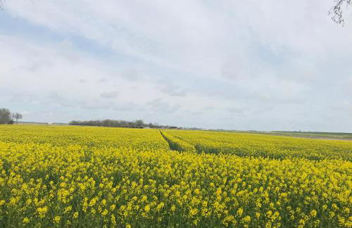 Kastanienhof - Foto 8