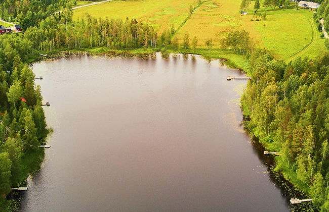 Excursão ao Parque Nacional de Sipoonkorpi + Sauna finlandesa - Foto 1