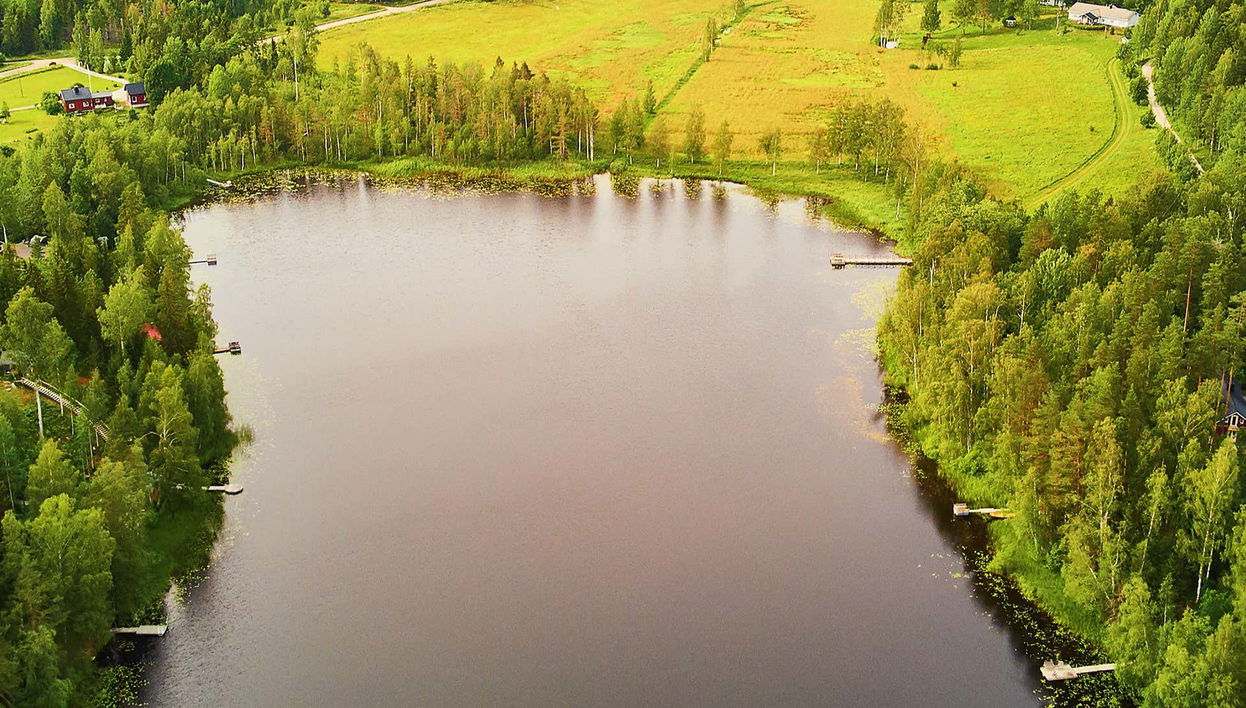 Escursione al Parco nazionale di Sipoonkorpi + Sauna finlandese