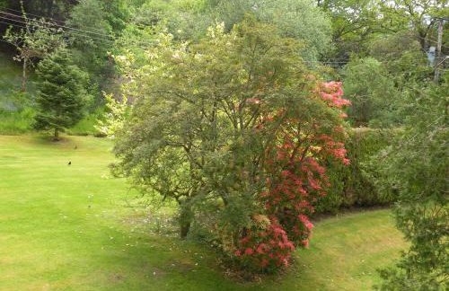 Thistle House Guest House - Foto 24