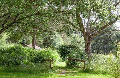 Tuckenhay, Edgecombe Barn- Hfu - Photo 57