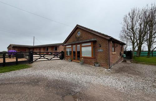 The Bungalow - Photo 14