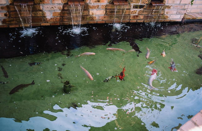 Recanto das Videiras - container - Foto 20