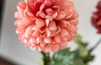 Apartment in Omisalj - Insel Krk 53119 - Foto 10