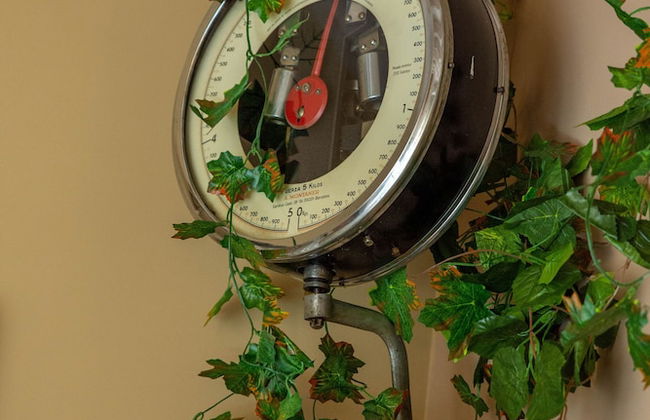 Apartamentos CV - Foto 53