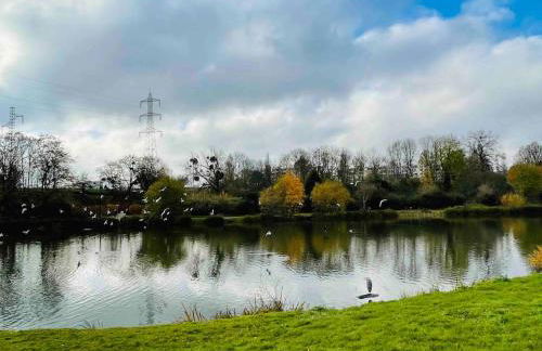 Masion belle vue - Foto 31