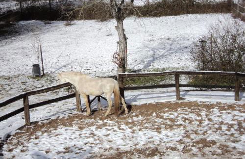 El Horno de Leopoldo - Foto 39