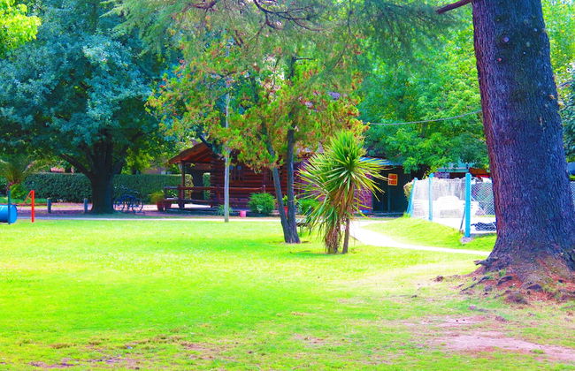 Los Platanos Cabañas & Suites - Foto 28