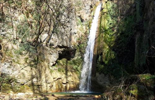 La Romanina - Foto 48