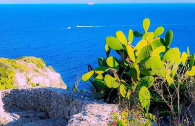 Villaelena - Foto 73