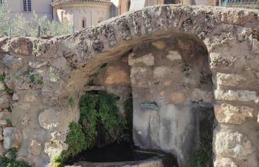 Le marronnier - Foto 10