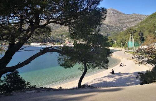 Luxury Apartments Blue Moon - New Apartments - Foto 43