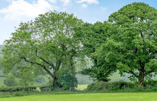 Gwennol- Uk37573 - Foto 11