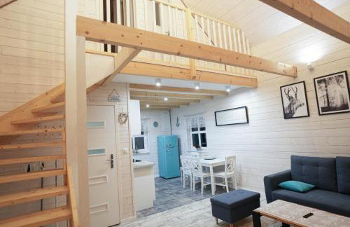 Kwiat Paproci - Foto 26