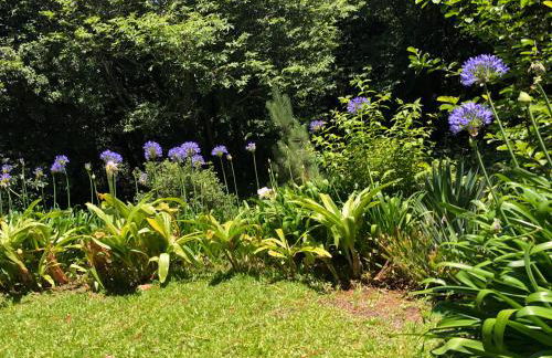 Quintinha de Palmyra - Foto 5