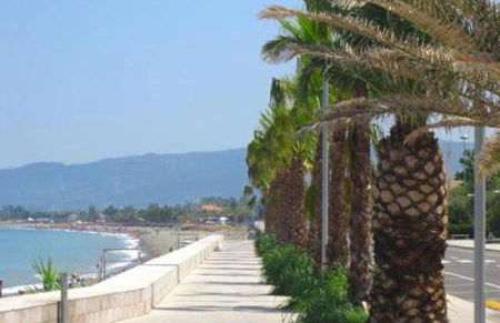 Ambra di mare - Foto 45