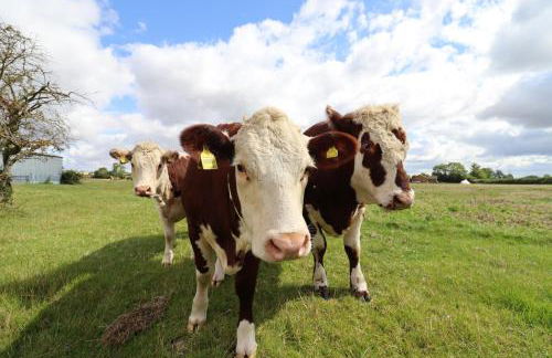 Redwood Cottage - Foto 41