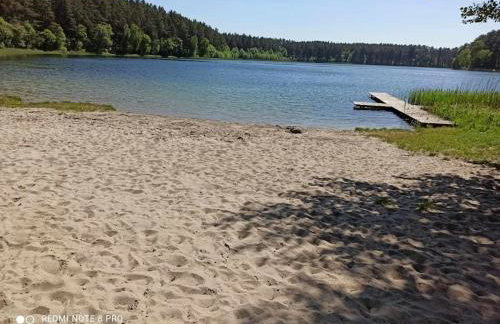 Sielska Oaza - siedlisko wiejskie z domem całorocznym - Foto 45