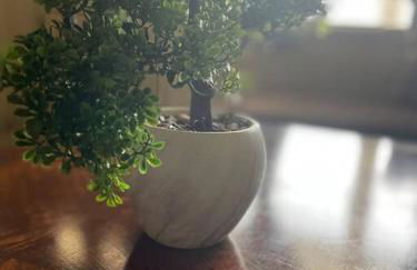 Beautiful Spacious 3 BR brick home for the family - Photo 7