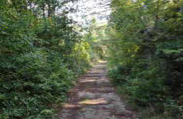 Apartmani Rudi - Foto 68