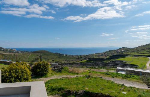 MEGAS GIALOS HARMONY - Foto 51