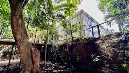 Coconut Grove Mid-Century Jungle Oasis - Foto 2