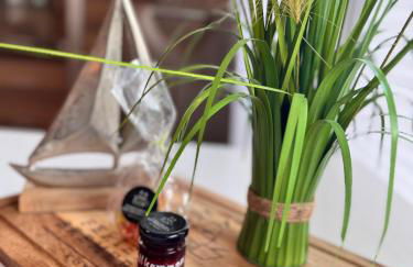 Ferienhaus Kottmann - Foto 14