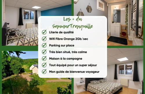 LeSaumurTranquille - Le Poitrineau - Foto 18