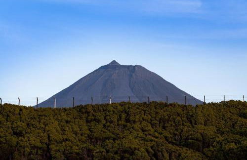 Adega Menezes - Photo 15
