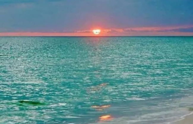 Amazing Apartment,hallandale Beach, Walk to Ocean! - Foto 37