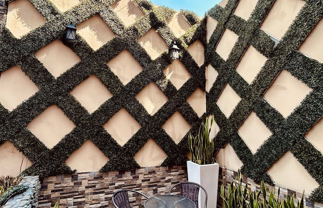 Suites Terraza Imperial - Foto 27