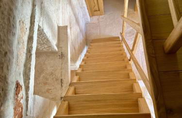 Nidus Petrae - Foto 20