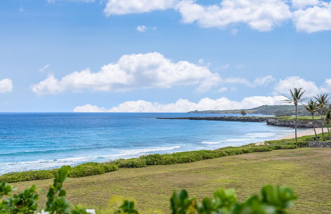 Kapalua Bay Villas 20g4 - Photo 44