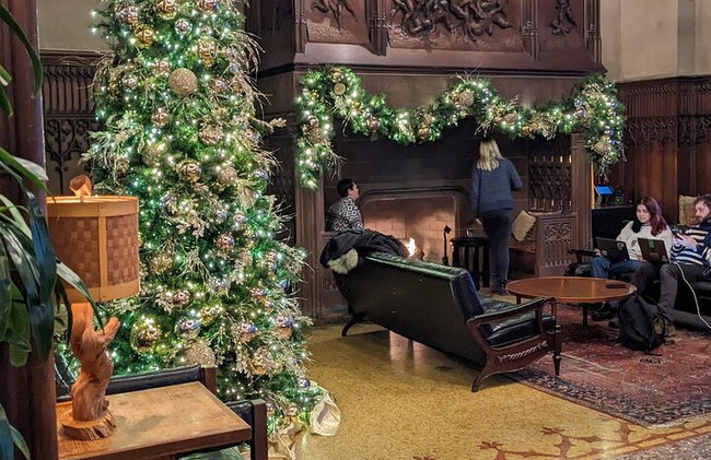 A experiência de rastreamento de árvores de Natal em Chicago nos feriados - Foto 2