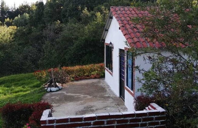 CABAÑAS VILLAS DEL LAGO - Photo 16