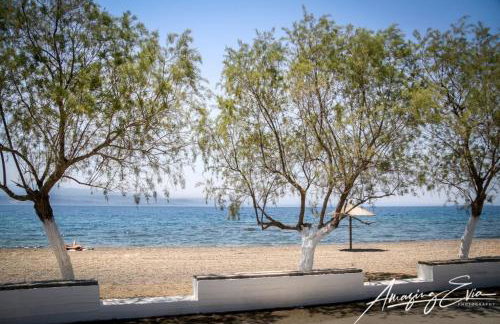 Lovely sea apartment Amarynthos - Foto 3