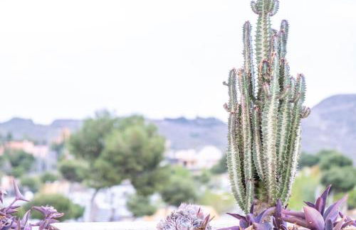 Geraneos DaRu - Foto 1