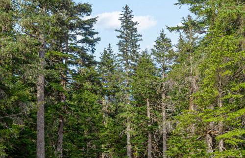 Skiview #103 - Foto 9