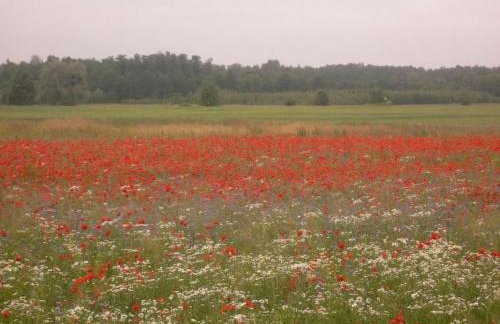 Holiday Home Hubert Haus by Interhome - Foto 22