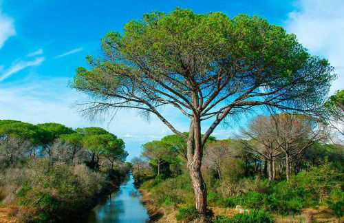 Agriturismo Al Vermigliano - Foto 34