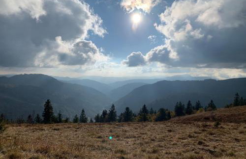 Ferienwohnung Paula - Foto 26