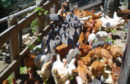 Agriturismo Fiorendo - Photo 23