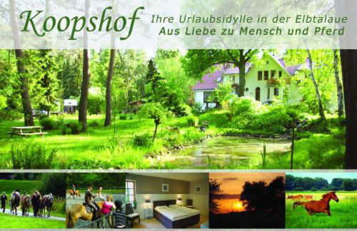 Ferienwohnung Sternenhimmel - Foto 48