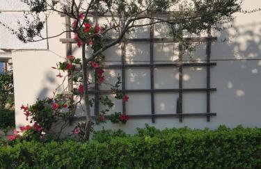 Schinas Apts. - Foto 32